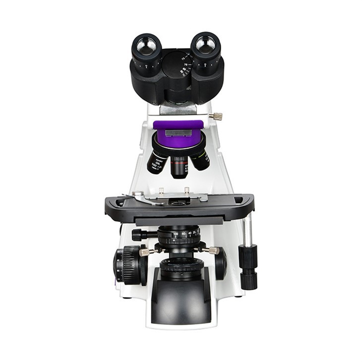 Professional Biological Microscope
