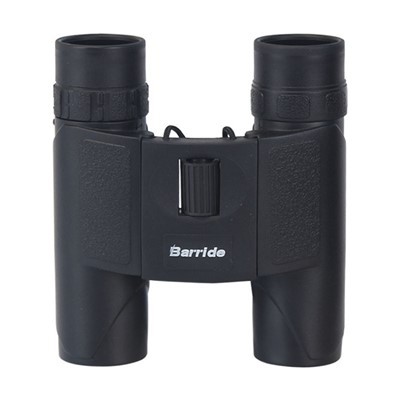10X25 Binoculars For Birding