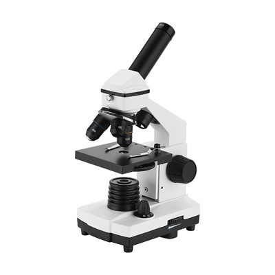 Best Microscope for Students